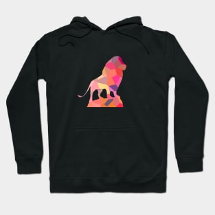 colorful lion symbol Hoodie